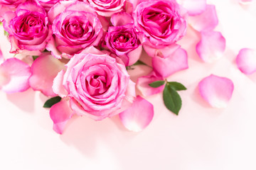 Pink roses