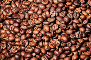 Aromatic coffee beans shimmers in the sun
