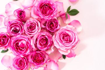 Pink roses