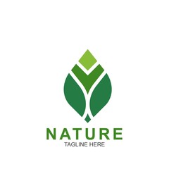 Leaf design logo Template