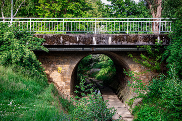 Old bridge hidden in a forest