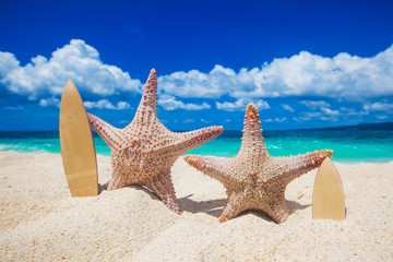 Two starfish surfers on beach