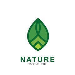 Leaf design logo Template