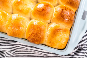 Dinner rolls