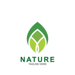 Leaf design logo Template