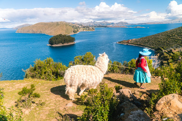 Girl and Llama Alpaca with Island on Isla del Sol in Bolivia background. Scenic panoramic view of island, sea horizon. Bolivian island paradiseand hills. Tourist walking trail. Tourism. Titicaca lake - obrazy, fototapety, plakaty