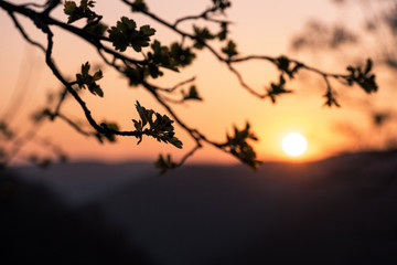 Schwäbische Alb im Abendrot