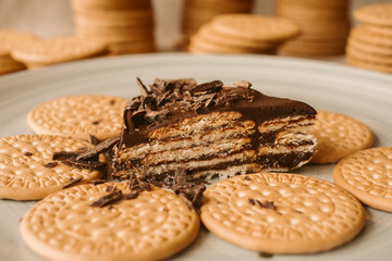 Close up view of delicious biscuit and chocolate cake. Homemade cake on biscuit background.	
