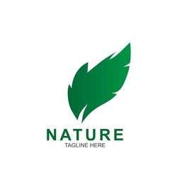Leaf design logo Template