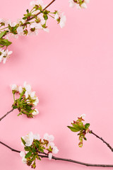 Obraz na płótnie Canvas beauty spring flowers on a branch over pink background. romance template. vibrant colors.