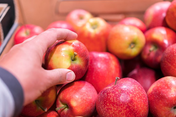 Close up view of fruits shelf in supermarket. hand taking red apples in the store. male hand taking fruit from a shelf. man holds one selected apple in a store or market. Juicy and fresh fruits
