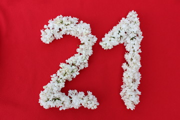The number 21 is written in white lilac flowers on a red background. The number twenty-one is written in fresh flowers, isolated on red. Arabic numeral lined with flowers.