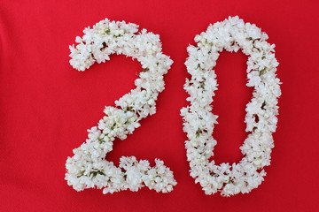 The number 20 is written in white lilac flowers on a red background. The number twenty is written in fresh flowers, isolated on red. Arabic numeral lined with flowers.
