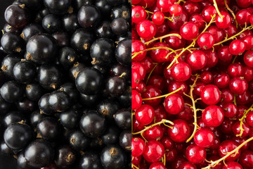 Background of red and black currants. Fresh berries closeup. Top view. Background of fresh berries. Various fresh summer fruit. Immunity system improvement. Antiviral treatment. Coronavirus prevention