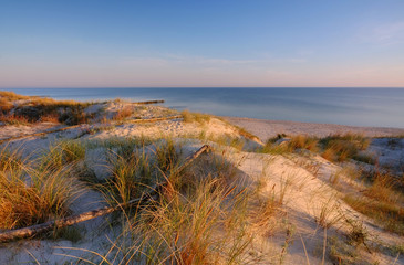 Wydmy na wybrzeżu Morza Bałtyckiego,plaża w Dźwirzynie,Polska.