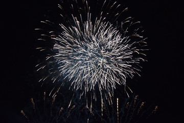 Obraz premium Colorful fireworks in the night sky, Ostfildern, Germany