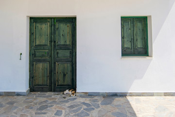 Tricolor cat sleeping at the old green door of the house with white walls on a sunny day