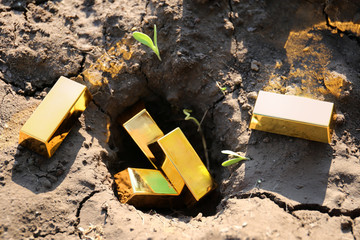 Gold bars close up