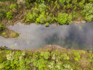 A small lake in a deciduous forest. Clouds are reflected in the water. Aerial drone view.