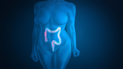 3d illustration of a woman bowel problem