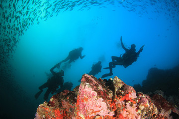 Naklejka na ściany i meble Scuba diving on underwater coral reef