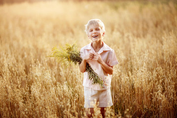 a boy walks in a wheat field, spikelets, August, happy child, nature, summer in the village