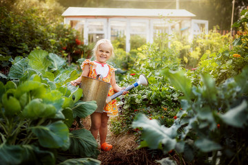 Girl watering the garden with a watering can, garden, little gardener, July, summer in the village,...
