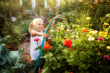 Girl watering the garden with a watering can, garden, little gardener, July, summer in the village,...