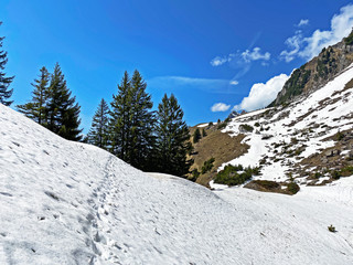 The early spring atmosphere with the last remnants of winter and snow in the Seeztal subalpine...