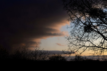Obraz na płótnie Canvas silhouette of tree at sunset
