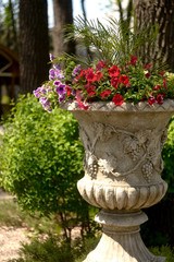 Fototapeta na wymiar flower pot in garden
