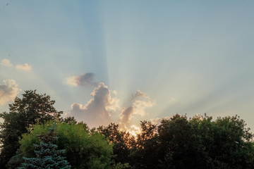trees, sunset, summersky, rainbow, cloud, clouds, nature, light, sun, rain, landscape, sunset, storm, weather, color, blue, tree, sunlight, sunrise, trees, summer, cloudscape, beautiful, dark, water