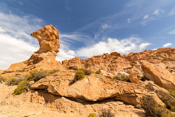 Fototapeta na wymiar Valle de Rocas, or Stone Valley, in southern Bolivia