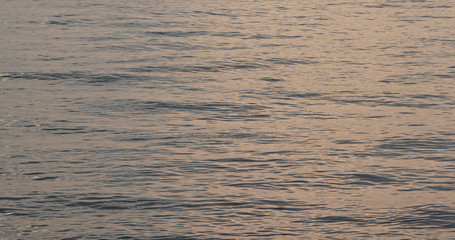 Sunset sea ocean in the evening