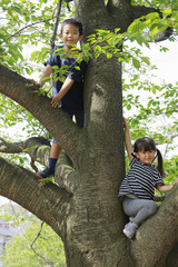 木登りをする兄妹(10歳と5歳)