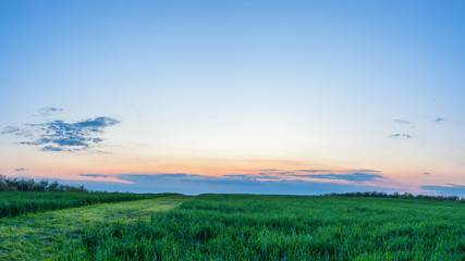 panorama of a green field at sunset blue sky with pink pastel shades of the sky