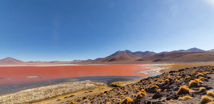 Stunning panoramic view of Laguna Colorada, in Bolivia