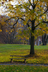 Naklejka premium bench in the park at autumn