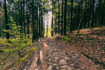 Fototapeta premium Stolowe Mountains National Park in Kudowa-Zdroj, Poland. A popular destination for trips in Poland.