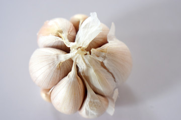 Garlic isolate on white background