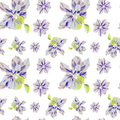 Fototapeta na wymiar Watercolor seamless pattern of clematis flowers. Original Botanical background.