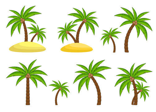 Palm trees. Plants of tropical forest. Landscape elements for design.