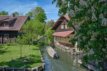 Im Spreewald