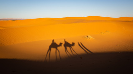 Fototapeta na wymiar Shadow of camels and riders