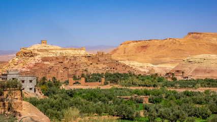 Fototapeta na wymiar Oasis in a valley in the desert of Marocco