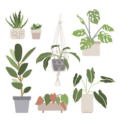 Fototapeta na wymiar Big set with house plants in flower pots. Urban jungle, home gardening. Hand drawn vector illustration in flat cartoon style. Perfect for poster, sticker, print, card