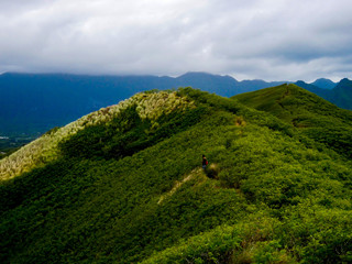 Fototapeta premium The Trail Less Taken (Oahu, Hawai'i)