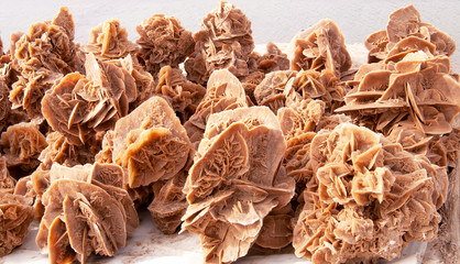 Desert rose, rose-like formations of crystal clusters of gypsum or baryte which include abundant sand grains in Sahara desert