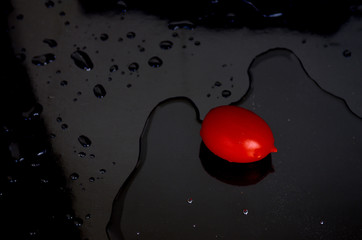 Small red tomato on a wet black background.