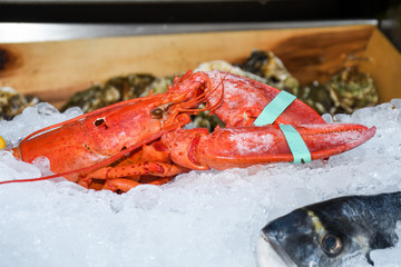 Fine selection of crustacean for dinner. Lobster, crab and jumbo shrimps and oysters